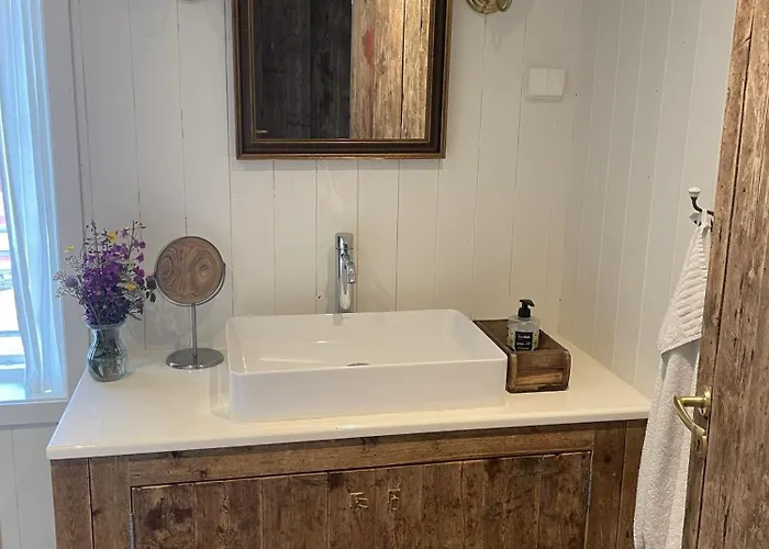 Elisabeth-bua Moskenes